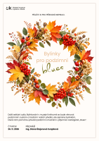 Bylinky-pro-podzimni-blues-Plakat-A3-na-vysku-1-