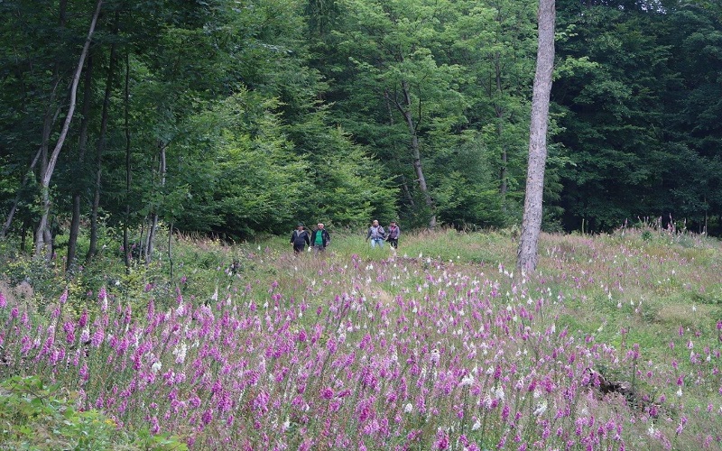 Křižatecký travers - komentovaná procházka