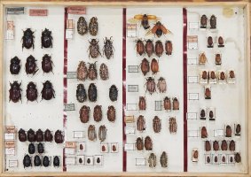 e5f14808-662f-4b16-93ca-c83426ddafb7