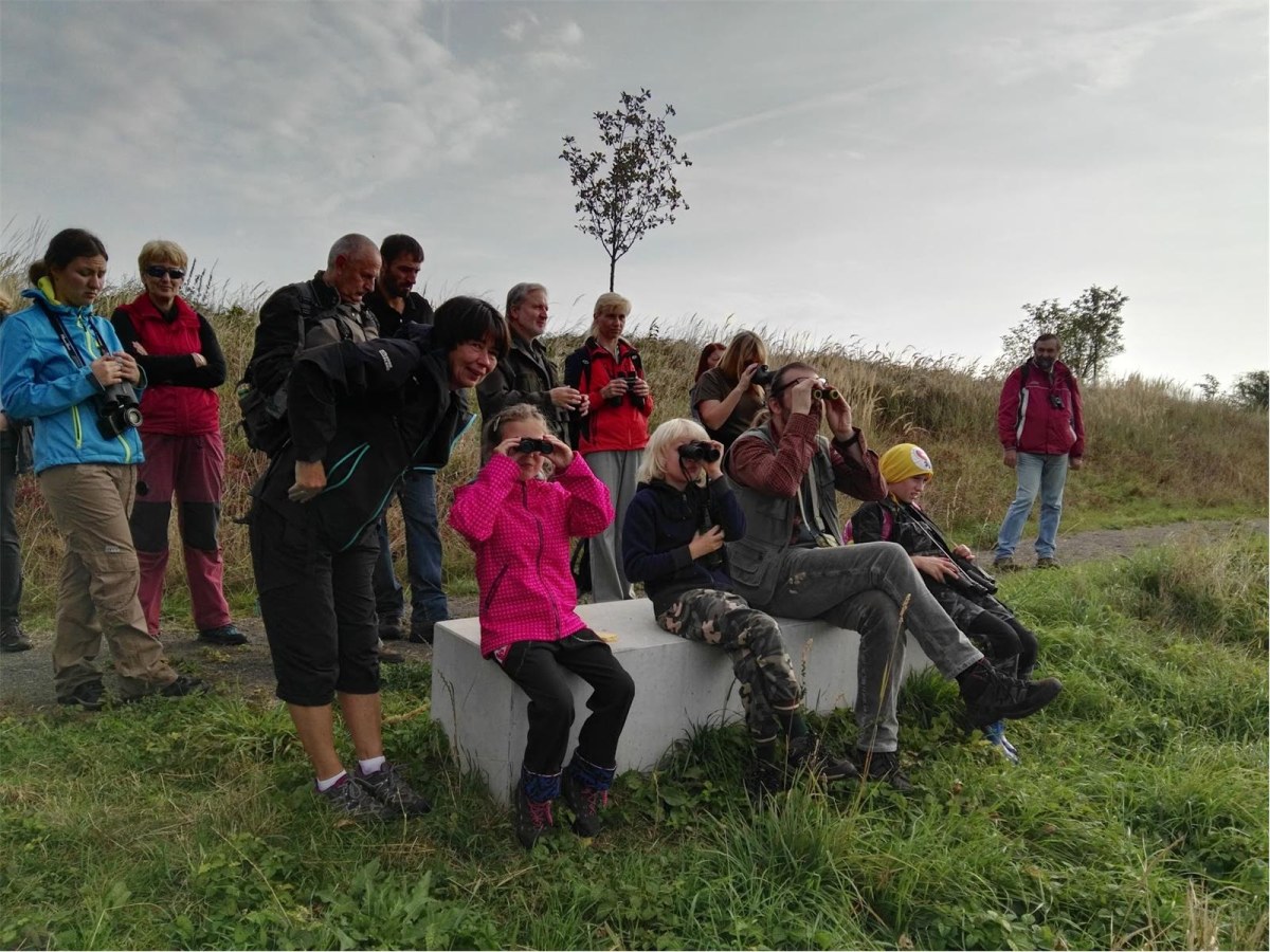 Festival ptactva 2016