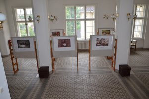 9056bc7c-7c43-4f72-bbd4-ef300fbc042b