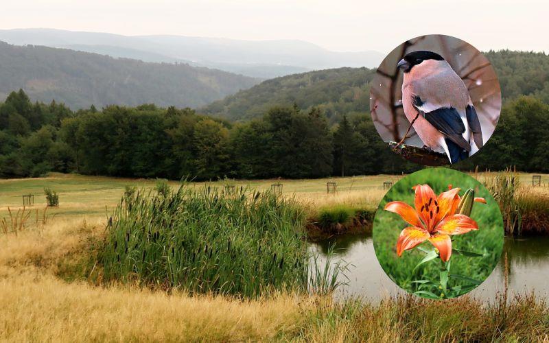 UNTERSCHÄTZTE SCHÄTZE DER NATUR - Vernissage