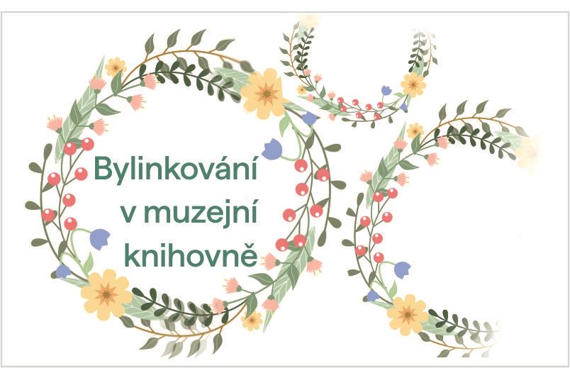 HERBALISM OF ST. JOHN