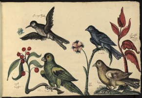 XVI_B_18_______205OEX0021R